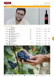 Kastner Flugblatt Seite 89