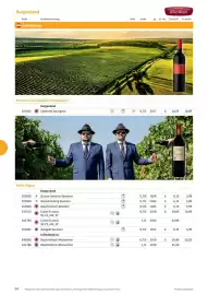 Kastner Flugblatt Seite 96