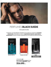 Catálogo Avon Página 63