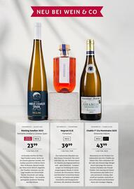 Wein & Co Flugblatt Seite 7