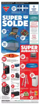 Canadian Tire flyer (valid until 25-06)