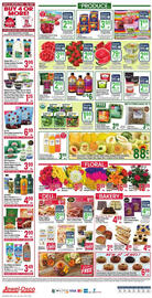 Jewel-Osco Weekly Ad week 25 Page 12