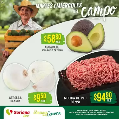 Catálogo Soriana Mercado (válido hasta 19-06)