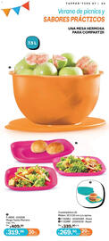 Catálogo Tupperware Página 33