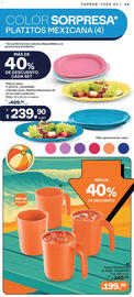 Catálogo Tupperware Página 39