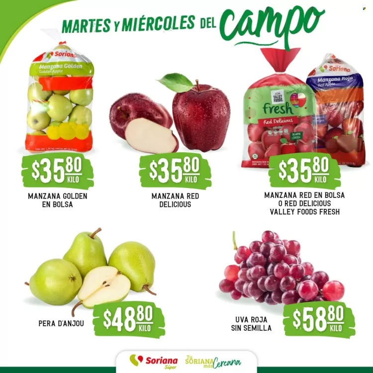 Catálogo Soriana Súper (válido hasta 19-06)