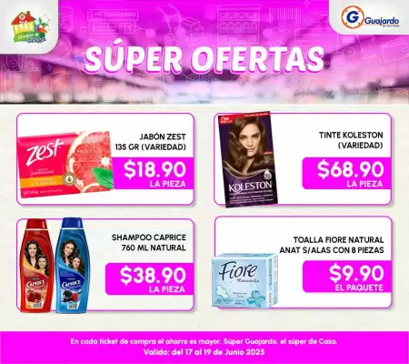 Catálogo Guajardo (válido hasta 19-06)