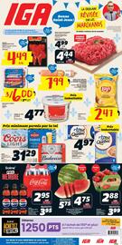 IGA flyer Page 1