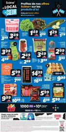 IGA flyer Page 4