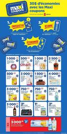 Maxi flyer Page 21