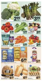 Pasquier flyer Page 2