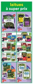 Super C flyer Page 14