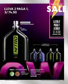 Catálogo Cyzone Página 99
