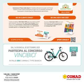 Volantino Spesa Facile Conad Pagina 17