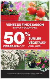 Patrick Morin flyer Page 3