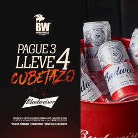 Catálogo Buffalo Wings Página 6