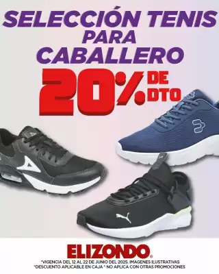 Catálogo Elizondo (válido hasta 22-06)
