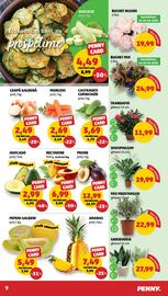 Catalog Penny săptămâna 25 Pagină 9