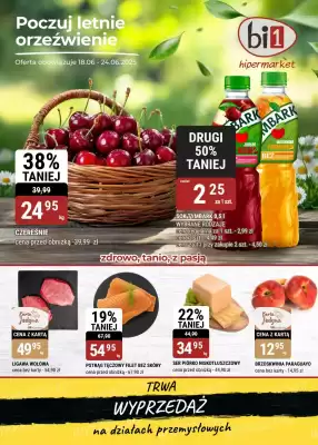 bi1 gazetka (ważność do 24-06)