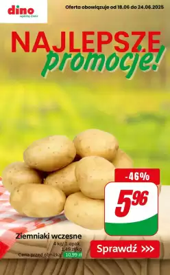 Dino gazetka (ważność do 24-06)