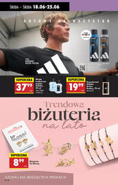 Biedronka gazetka tydzień 25 Strona 62
