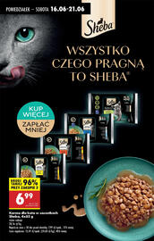 Biedronka gazetka tydzień 25 Strona 75