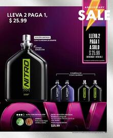 Catálogo Cyzone Página 97