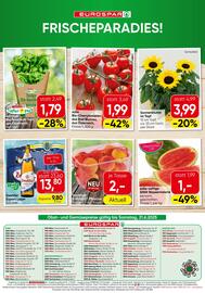 Eurospar Flugblatt Seite 16