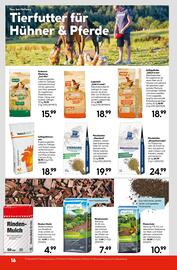 Hellweg Flugblatt woche 25 Seite 18