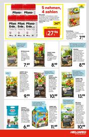 Hellweg Flugblatt woche 25 Seite 19