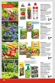 Hellweg Flugblatt woche 25 Seite 20