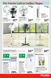 Hellweg Flugblatt woche 25 Seite 7