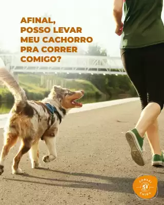 Catálogo Cobasi (válido até 18-06)