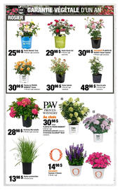 Home Depot flyer week 25 Page 3