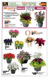 Home Depot flyer week 25 Page 4