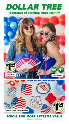 Dollar Tree flyer (valid until 4-07)