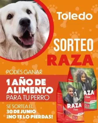 Catálogo Supermercados Toledo (válido hasta 30-06)