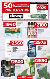 Catálogo Supermercados DIA semana 25 Página 17