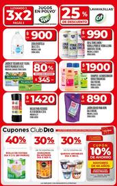 Catálogo Supermercados DIA semana 25 Página 3