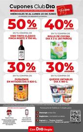 Catálogo Supermercados DIA semana 25 Página 6