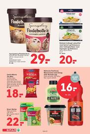 SPAR tilbudsavis uge 25 Side 10