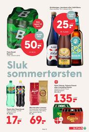 SPAR tilbudsavis uge 25 Side 13