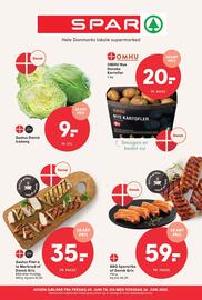SPAR tilbudsavis uge 25 Side 17