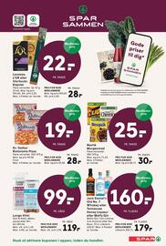 SPAR tilbudsavis uge 25 Side 9