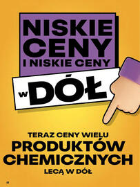 Delikatesy Centrum gazetka tydzień 25 Strona 41