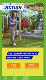 Action gazetka tydzień 25 Strona 31