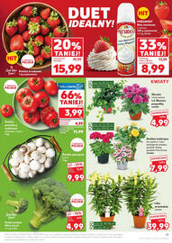 Kaufland gazetka tydzień 25 Strona 19