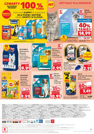 Kaufland gazetka tydzień 25 Strona 49