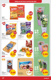 PENNY Flugblatt woche 25 Seite 17