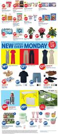 Lidl Weekly Ad week 25 Page 3